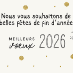 Article site internet 3