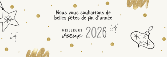 Article site internet 28