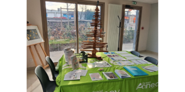 Article site internet 25